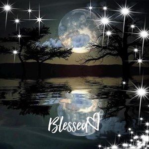 Meet your Posher, Theresa